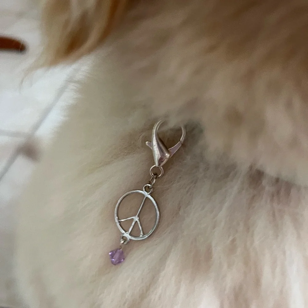 ☮️Silver peace pet charm - Picture 1 of 5